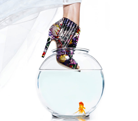 Még az aranyhal is irigykedve nézi, pedig lába sincs, amire felhúzhatná ezt a színpompás topánt. /Forrás: http://fashiongonerogue.com/