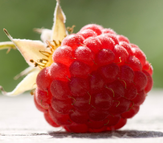 A málna, de más bogyós gyümölcsök is, színanyagaik miatt kitűnő belső bőrápolók.