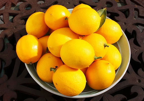 A citromban lévő C-vitamin nagyon fontos a kollagéntermelés szempontjából, ezért jó, ha átállsz a limonádéfogyasztásra. A reggeli langyos citromos víz pedig beindítja az anyagcserét.