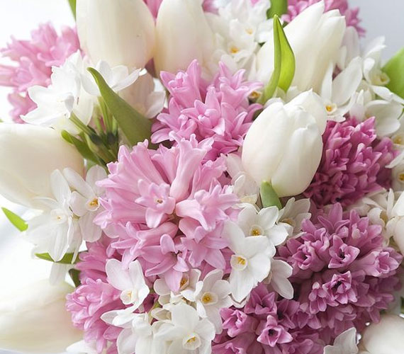 A három tavaszi kedvenc: tulipán, jácint és nárcisz.