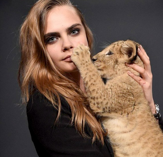 Nem ez az első ilyen élménye: állatjogi aktivistaként korábban oroszlánkölyköt tarthatott a kezében.